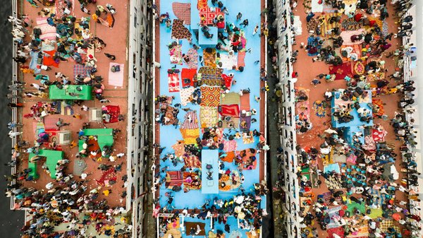 Découvrez le secret de la culture des champignons comestibles chez vous : guide ultime des méthodes infaillibles !