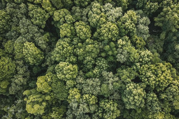 Portail rh : transformer la gestion des ressources humaines grâce à la digitalisation