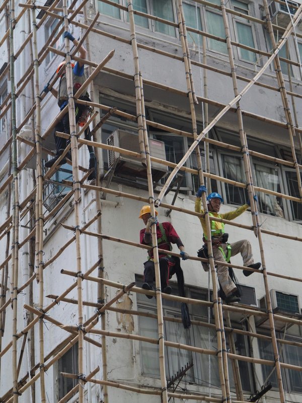 Rénovation d'ampleur : l'expertise de Globe Energy en action